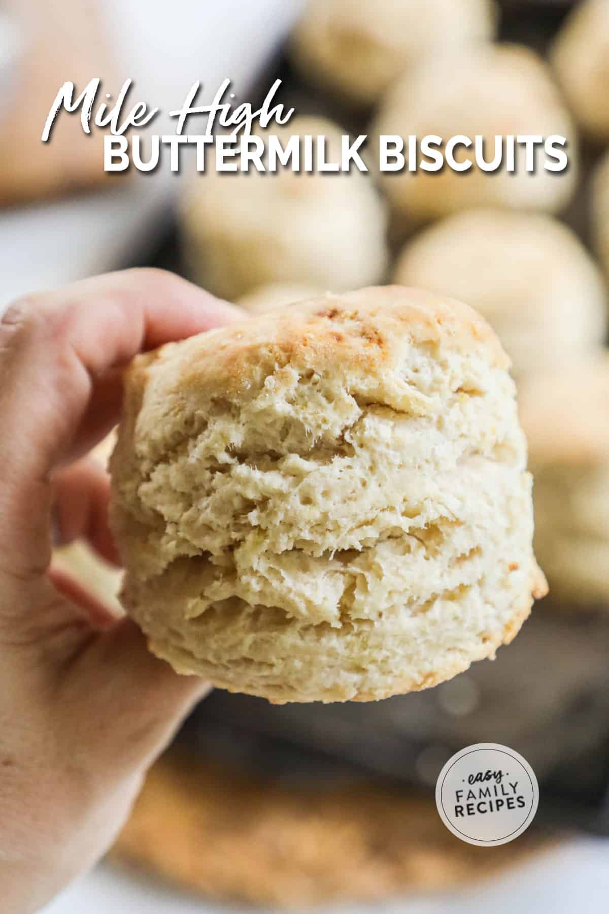 Hand holding a very tall and fluffy buttermilk biscuit close to show texture.