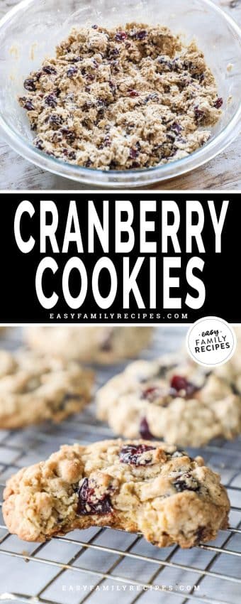 Oatmeal Cranberry Cookies · Easy Family Recipes