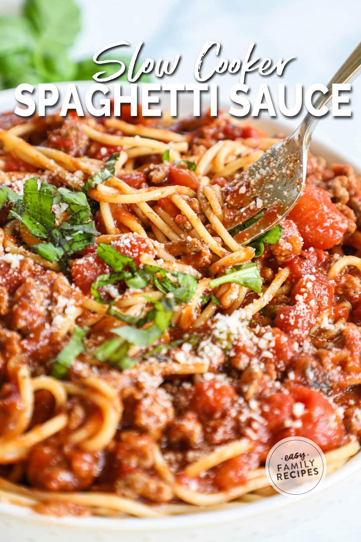 Close up of spaghetti topped with parmesan cheese, fresh basil, and a fork spinning some of the noodles and sauce up.