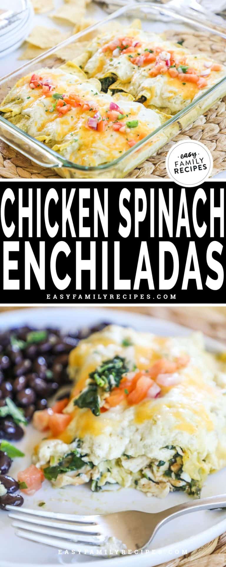Chicken and Spinach Enchiladas with Sour Cream Sauce · Easy Family Recipes