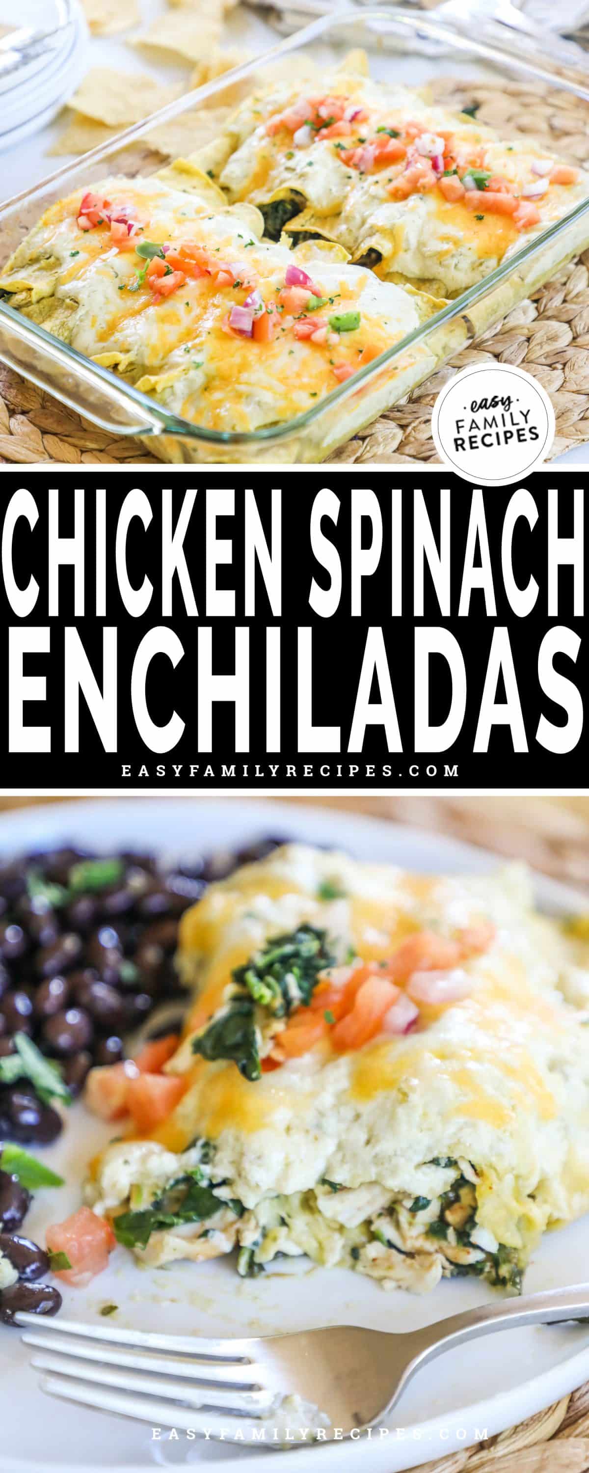 Creamy enchiladas in a pan with golden brown cheese and on a plate topped with salsa.