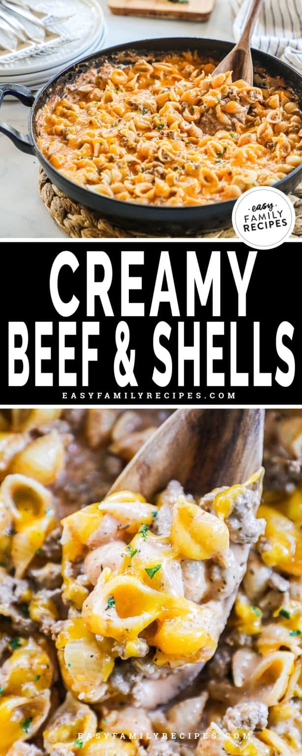Creamy Beef and Shells · Easy Family Recipes