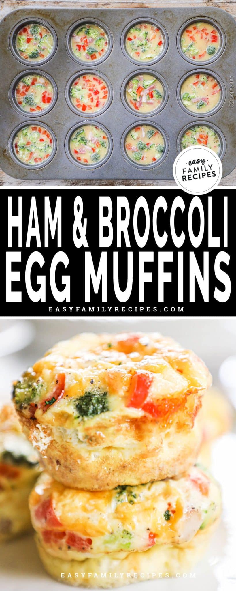 Ham and Cheese Egg Muffins with Broccoli · Easy Family Recipes