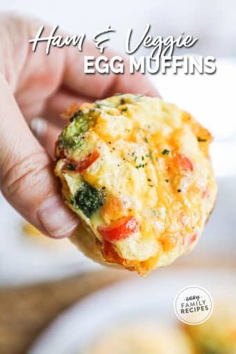 Ham and Cheese Egg Muffins with Broccoli · Easy Family Recipes