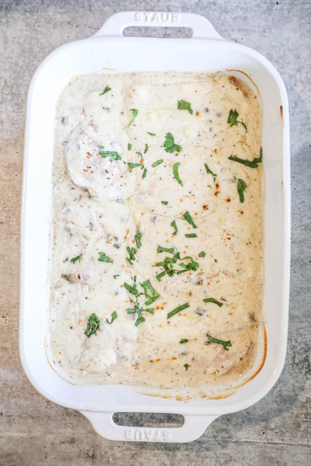 Oven Baked Cream of Mushroom Pork Chops · Easy Family Recipes