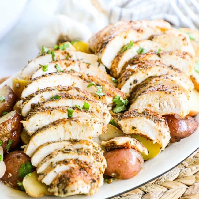 Turkey Tenderloin Crock Pot Recipe · Easy Family Recipes
