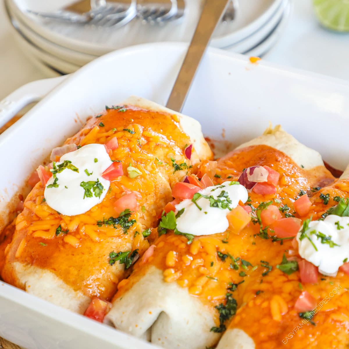 Queso Smothered Chicken & Rice - Plain Chicken