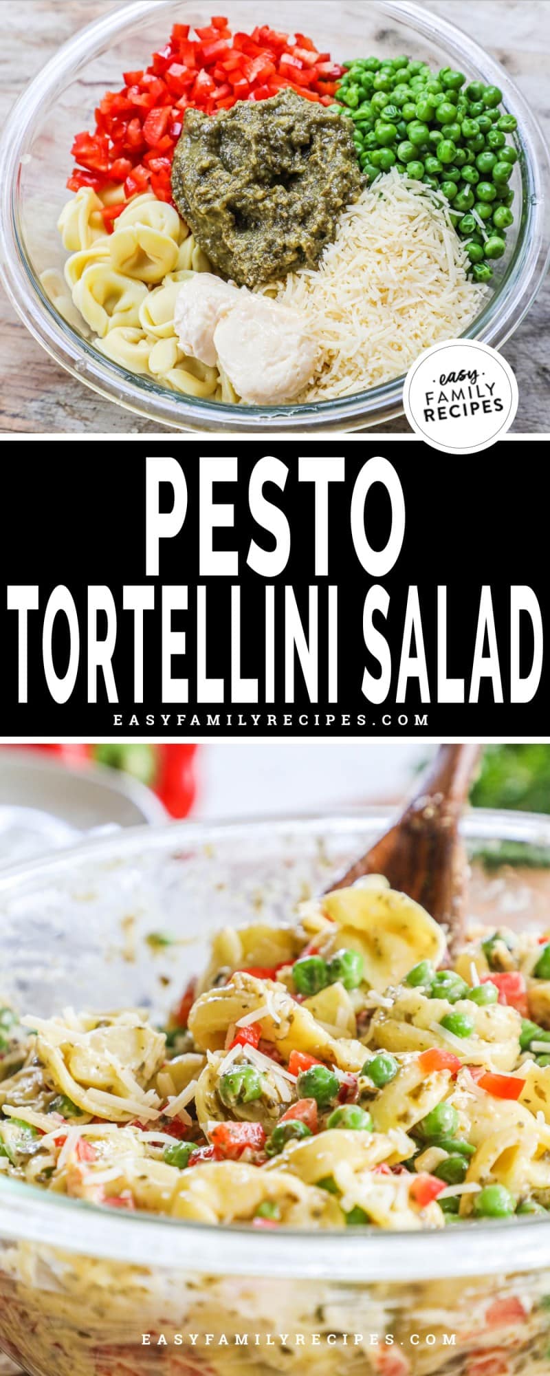 Pesto Tortellini Salad · Easy Family Recipes