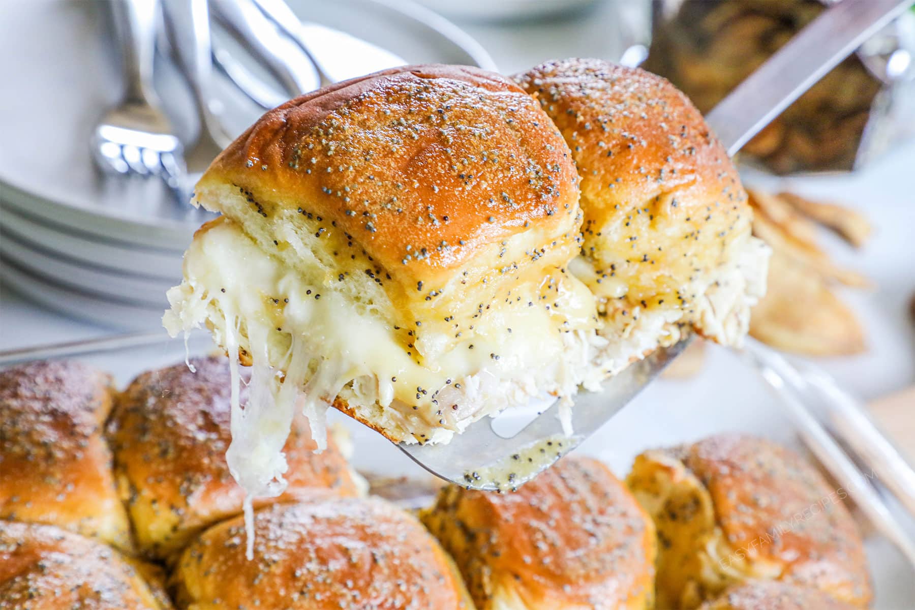 Shredded Chicken Sliders