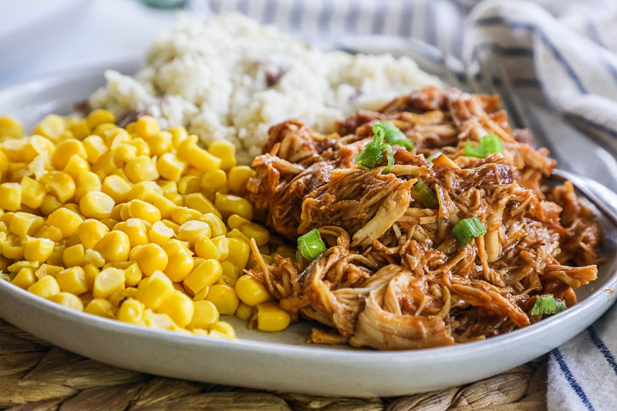 Crock Pot BBQ Chicken – 3 Ingredients!