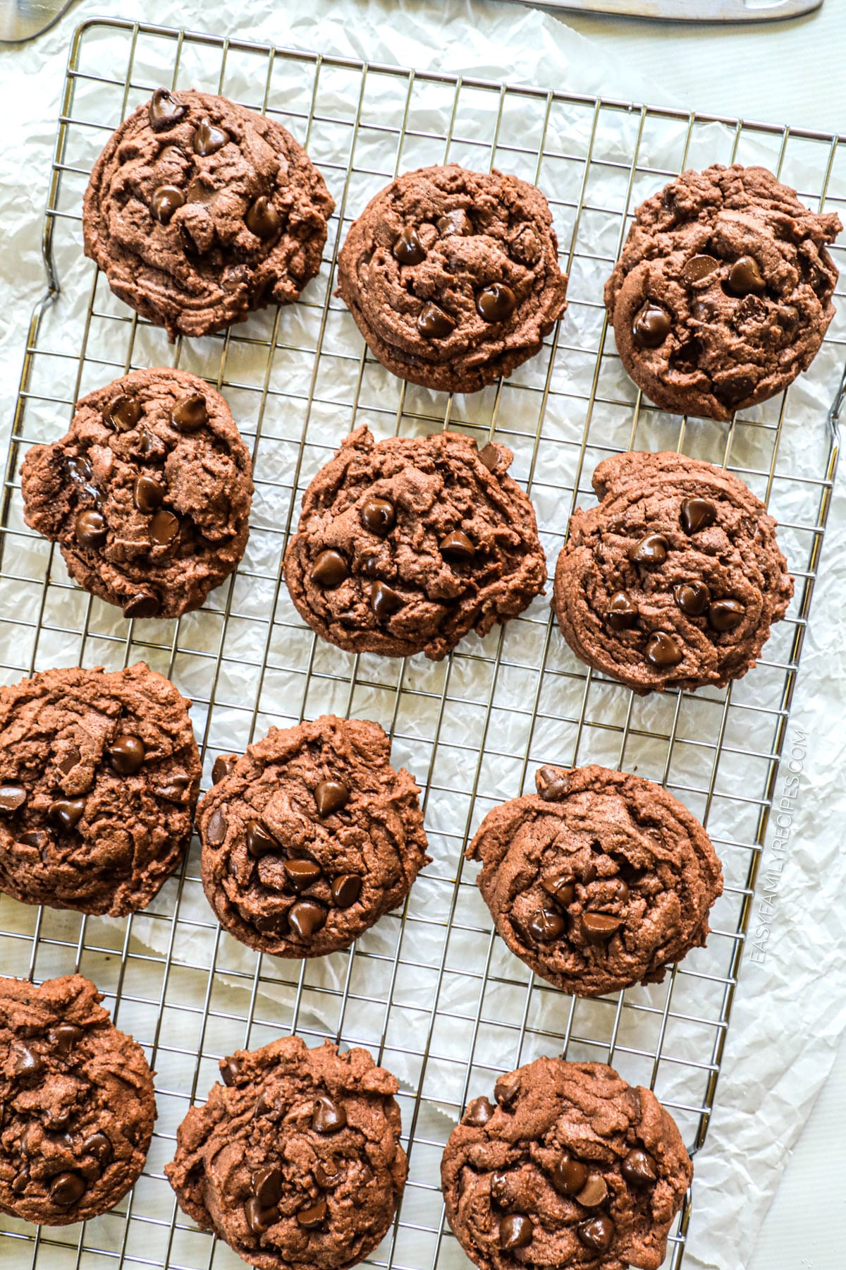overhead image of double chocolate pudding cookies lined on a cooling rack.
