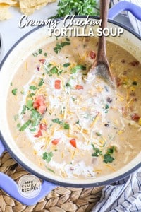 Creamy Chicken Tortilla Soup · Easy Family Recipes