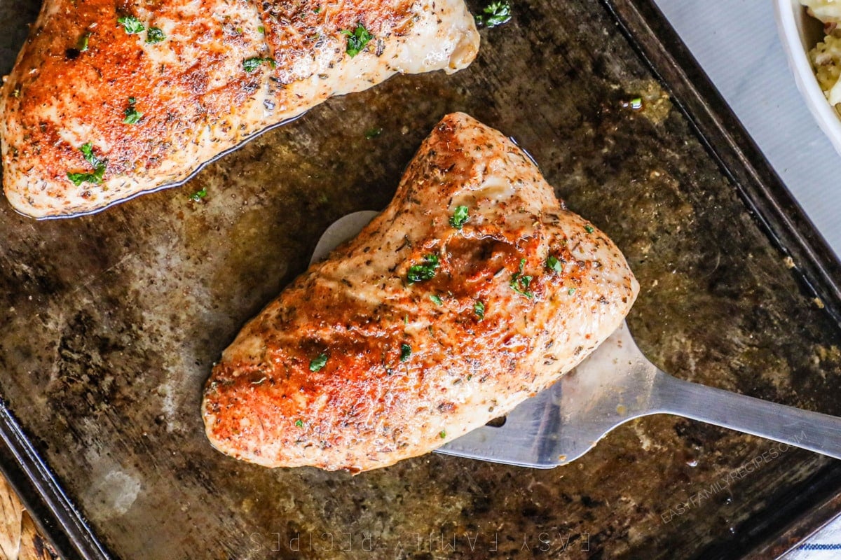 Oven Roasted Turkey Tenderloin ready to eat.