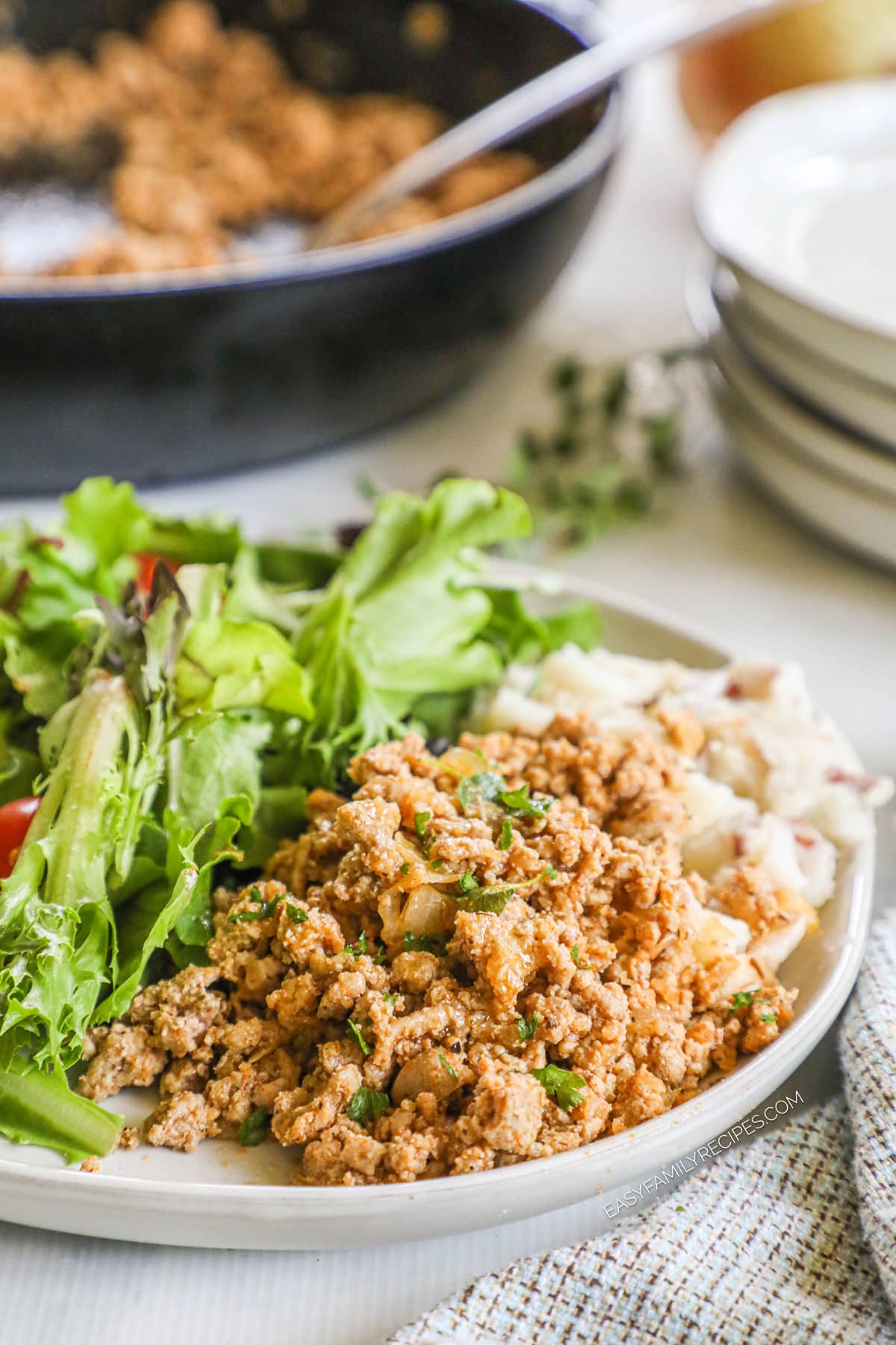 a plate piled with seasoned ground turkey and a salad.