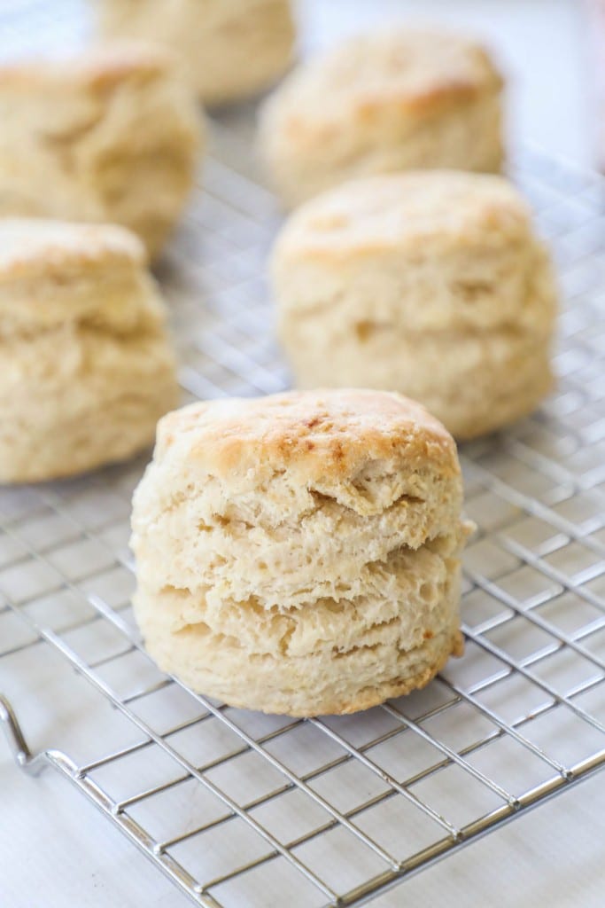 Buttermilk Biscuits with tons of layers shown from the side to show height