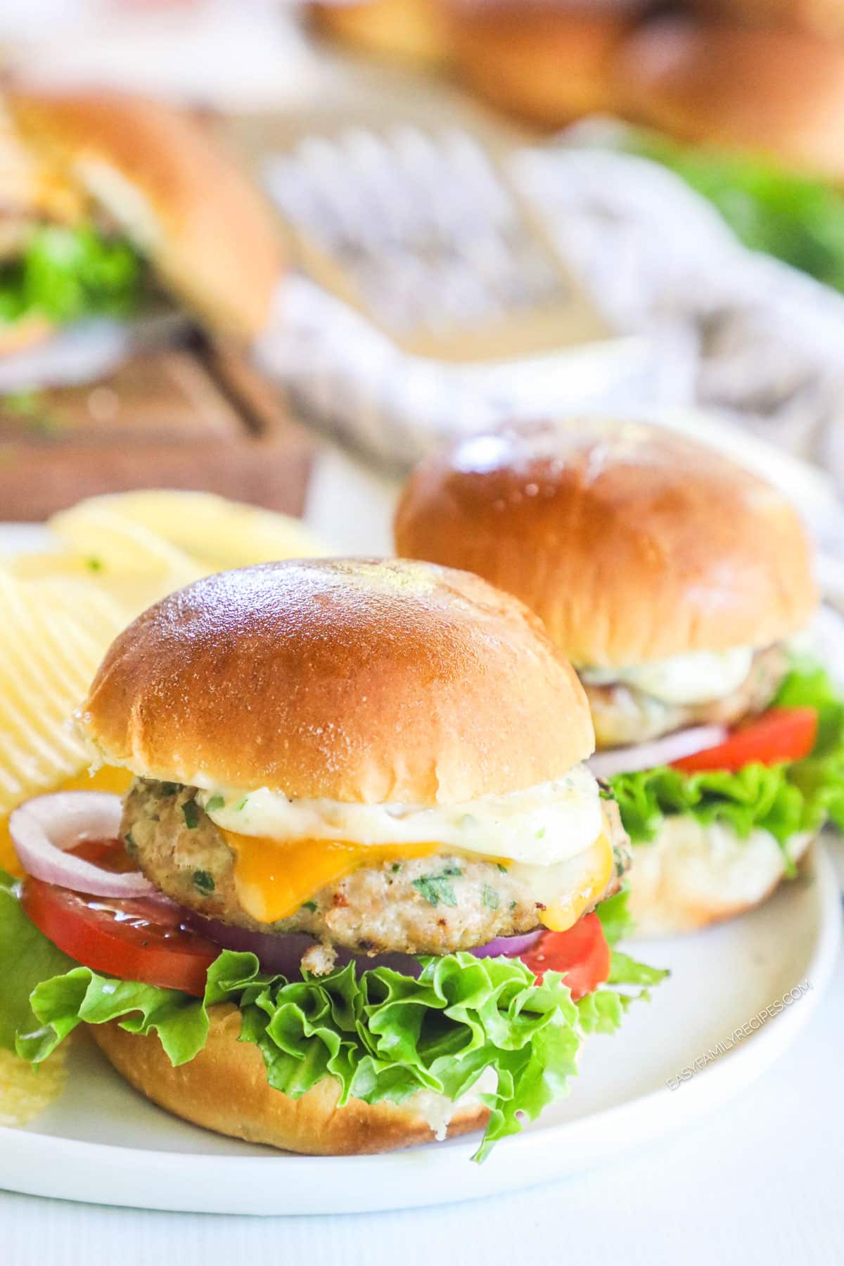 Two ground turkey burgers on plate