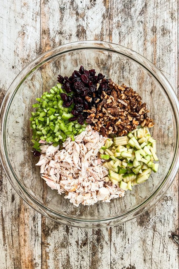Finely diced celery, green apples, dried cranberries, toasts walnus, and shredded chicken in a bowl before combining.