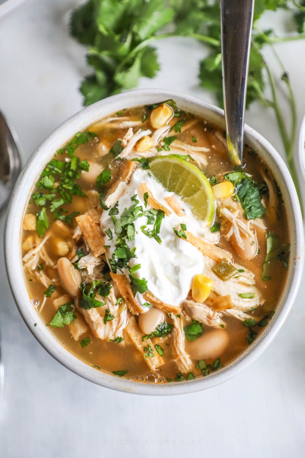Southwest Chicken Chili · Easy Family Recipes