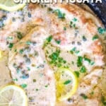 Creamy Chicken Piccata garnished with Lemon and parsley.
