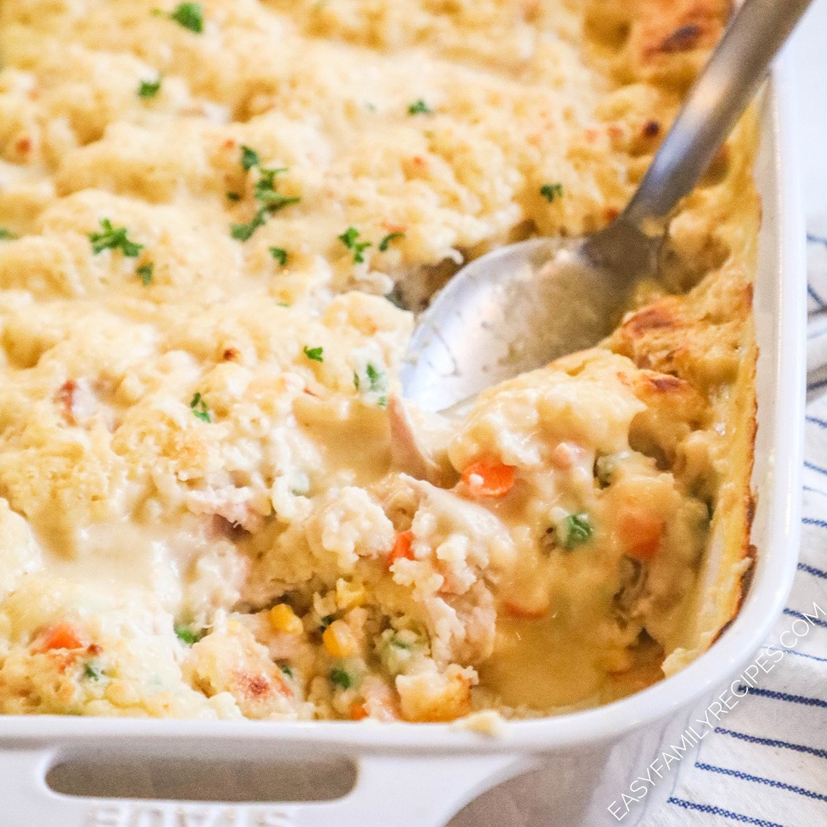 Chicken Cobbler