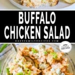 A collage image showing buffalo chicken salad in a sandwich on top and a close-up of buffalo chicken salad on the bottom. The text reads, "buffalo chicken salad"