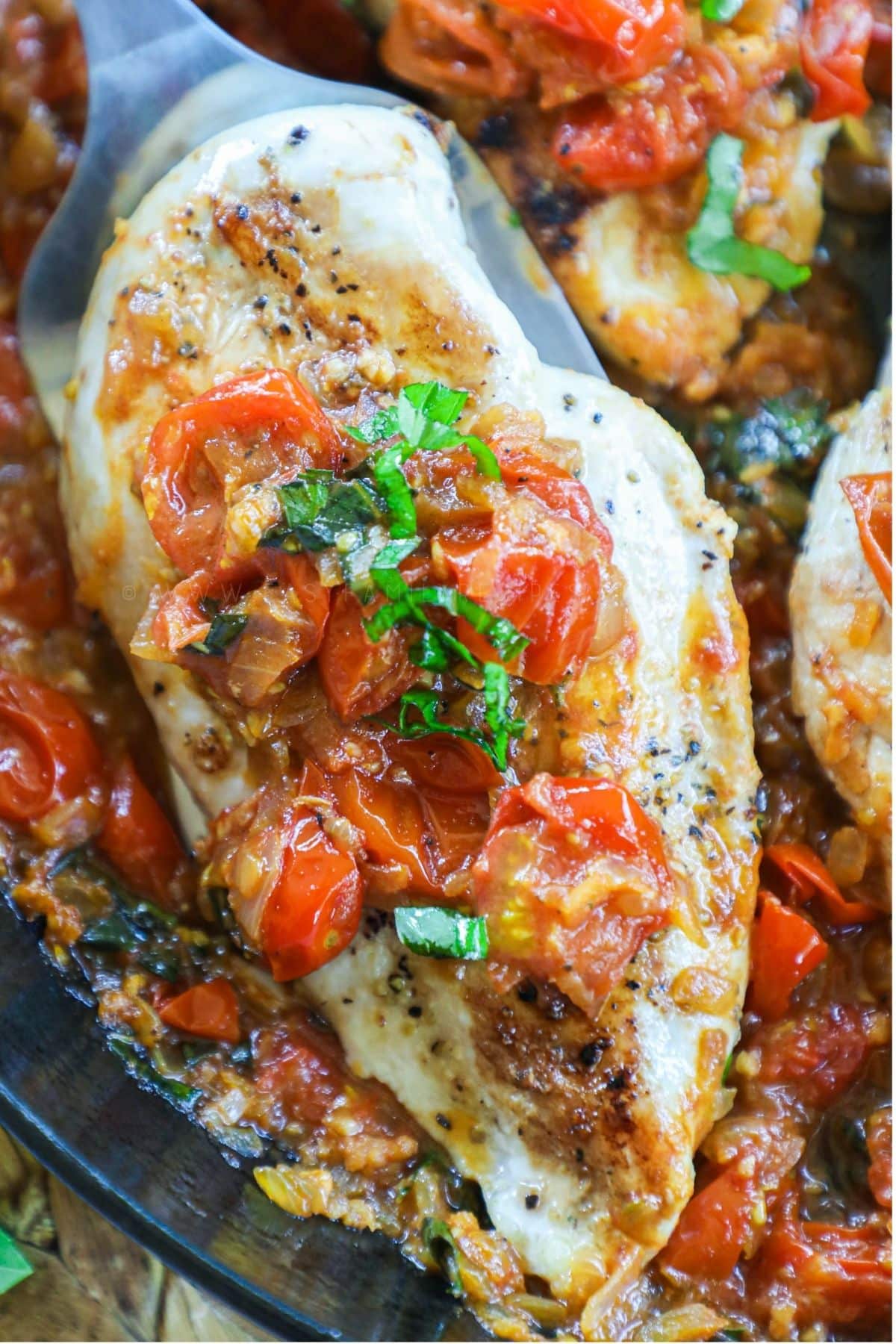 chicken breast with tomato topping in a skillet