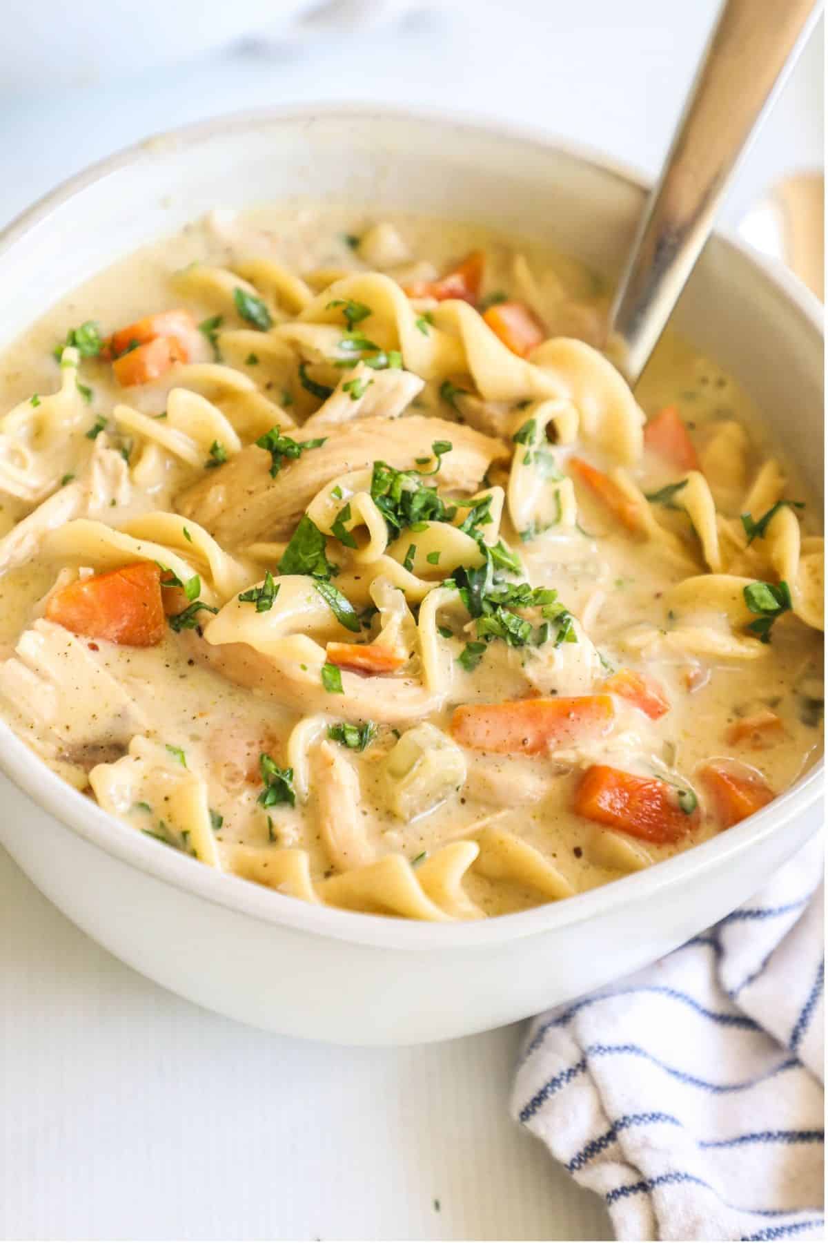 creamy chicken noodle soup in a white bowl