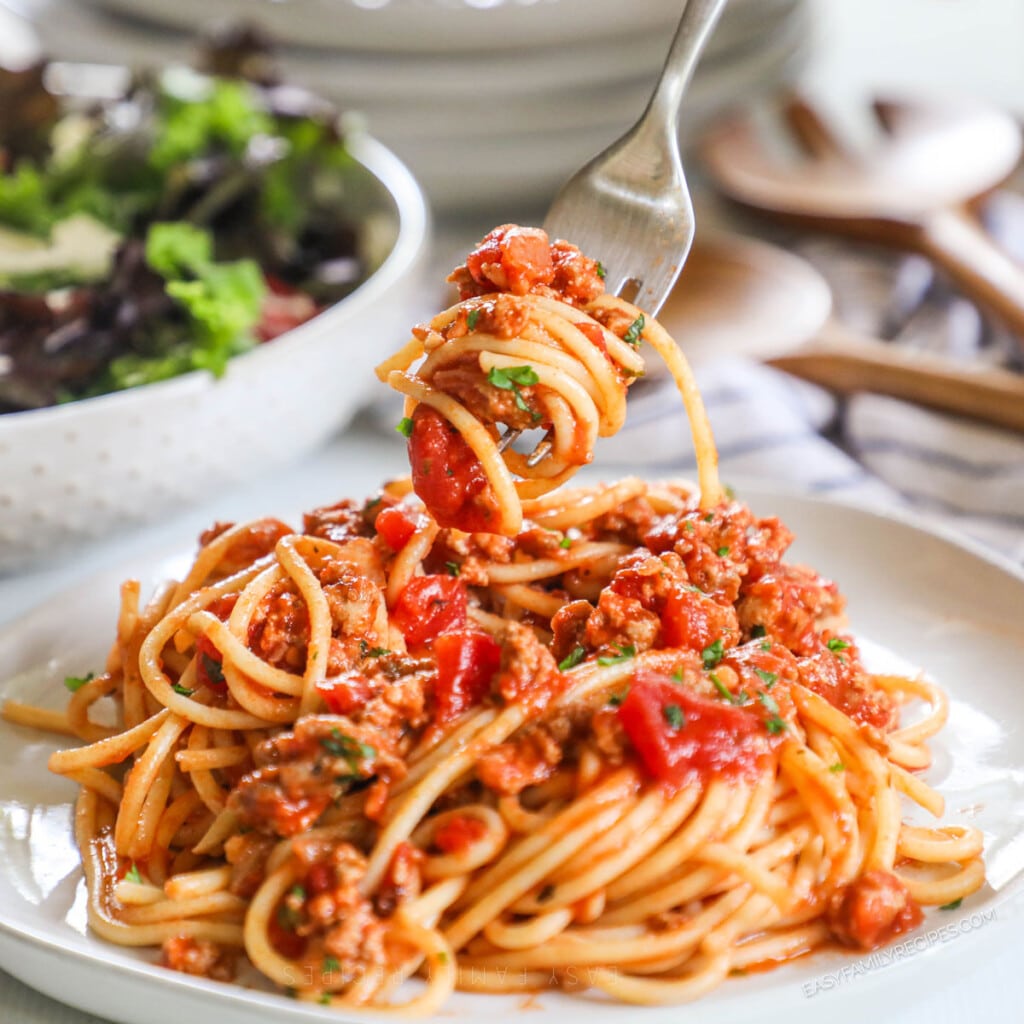 Italian Style Ground Turkey Spaghetti · Easy Family Recipes