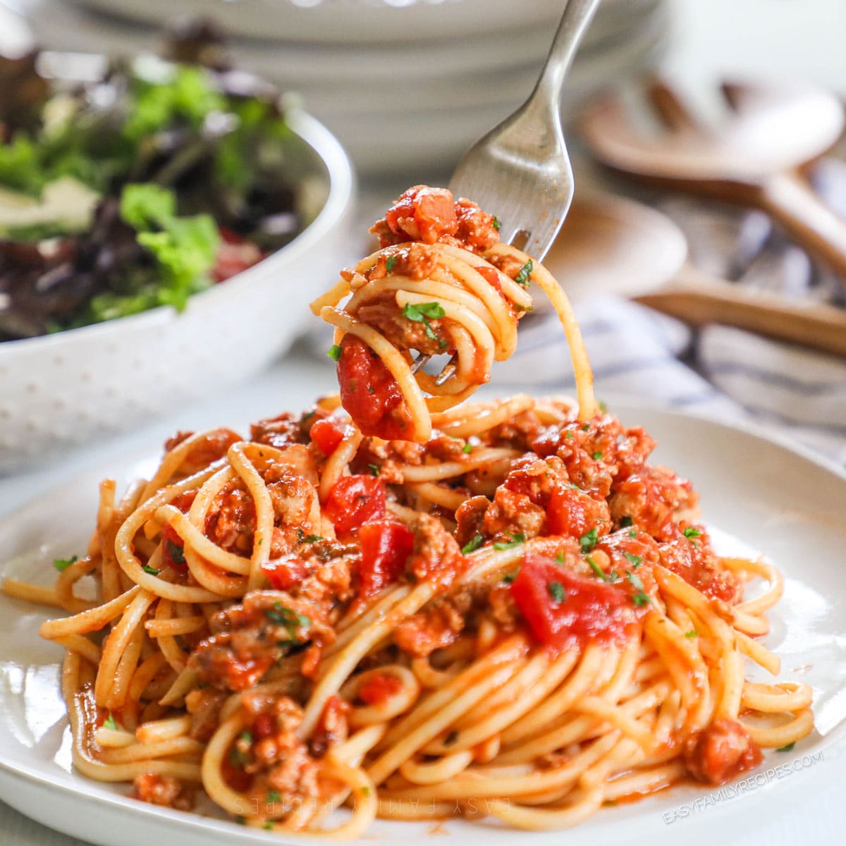 Italian Style Ground Turkey Spaghetti