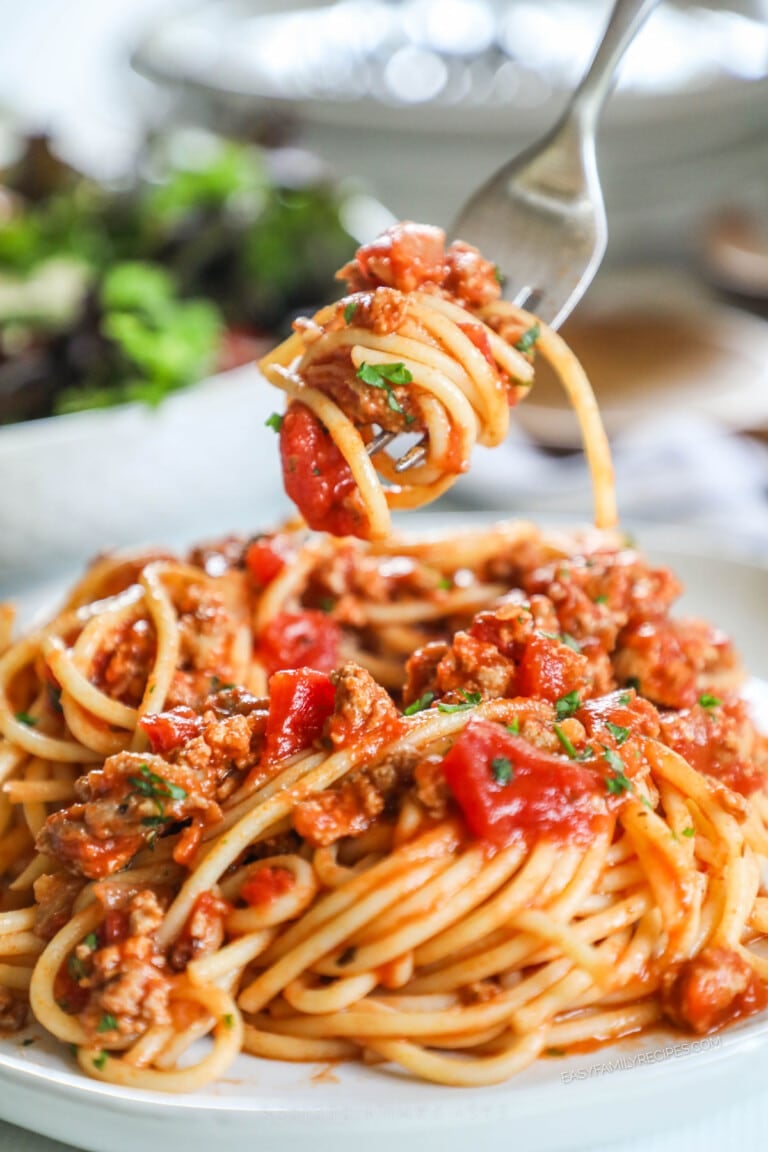 Italian Style Ground Turkey Spaghetti · Easy Family Recipes