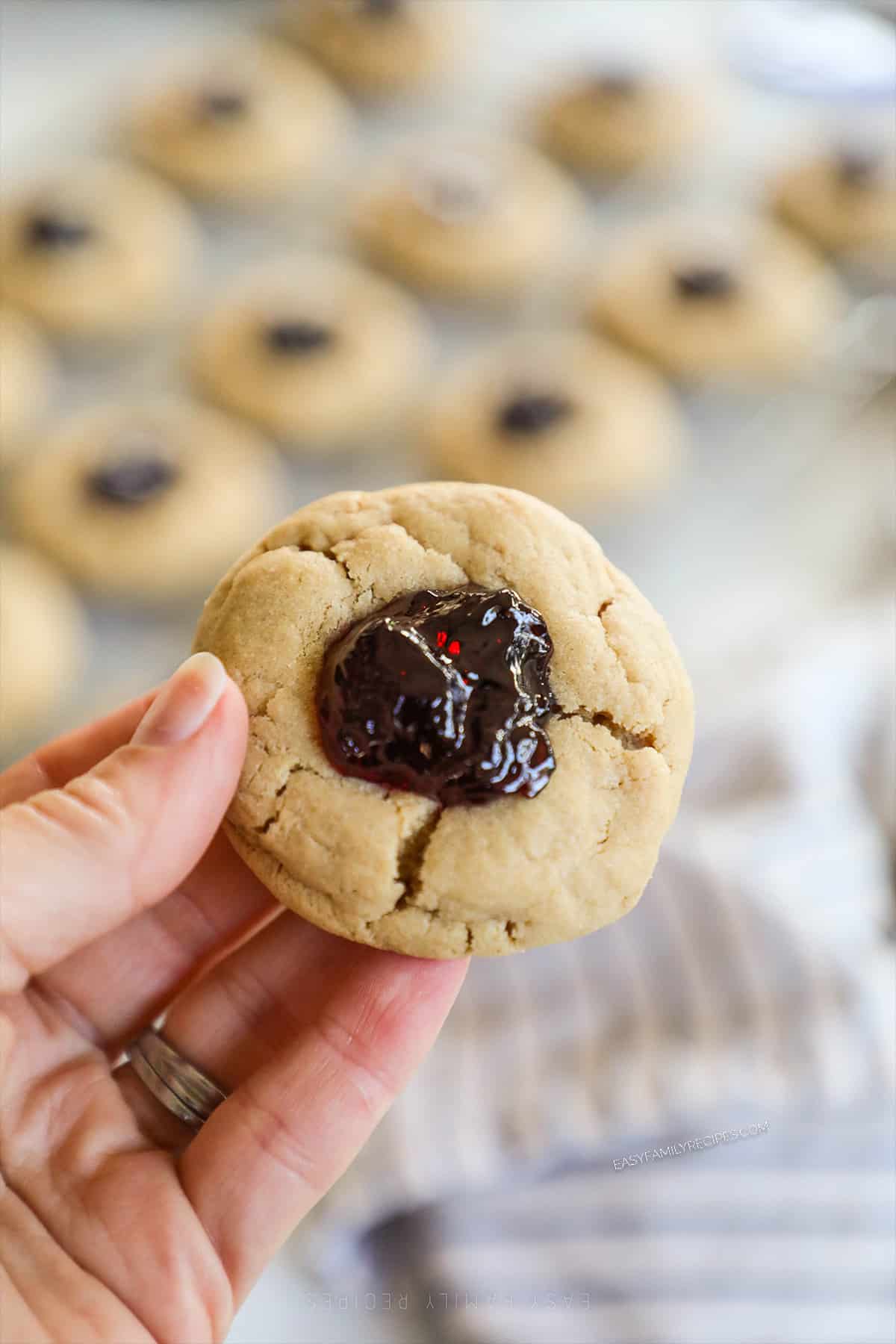 A close-up showing a hand holding a Peanut Butter & Jelly Cookies