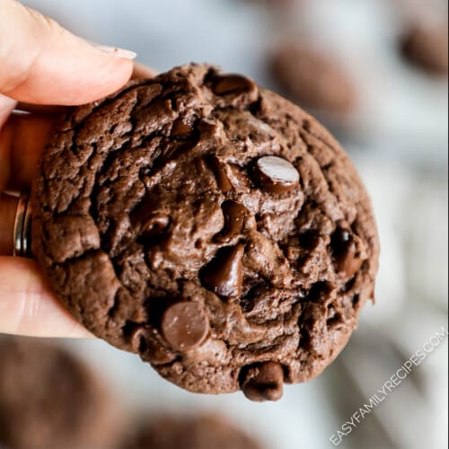 A hand holding a Devil's Food Cookie.