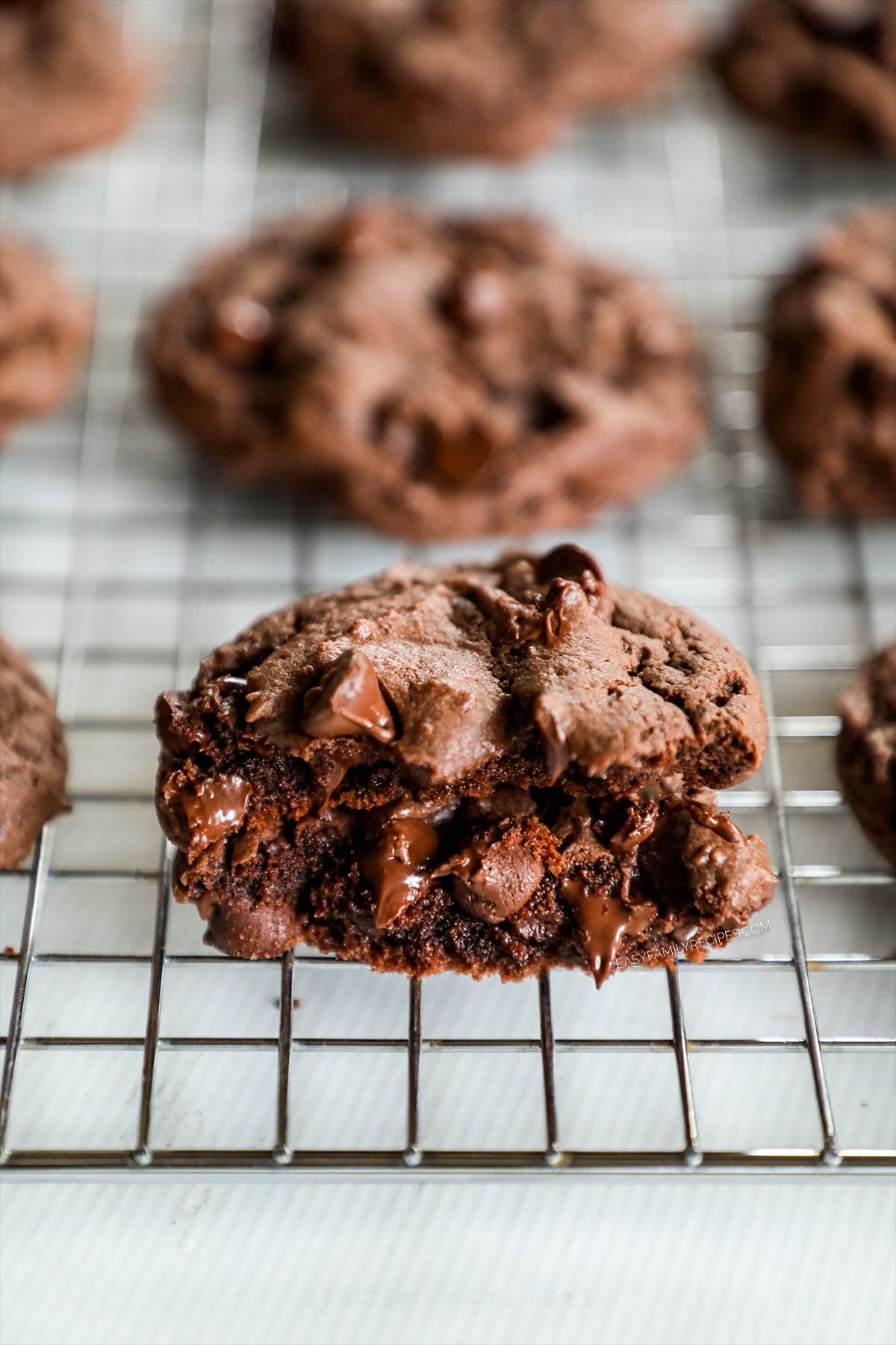 A Devil's Food Cookie folded in half, showing the melty chocolate chips and chewy texture of the inside of the cookie.