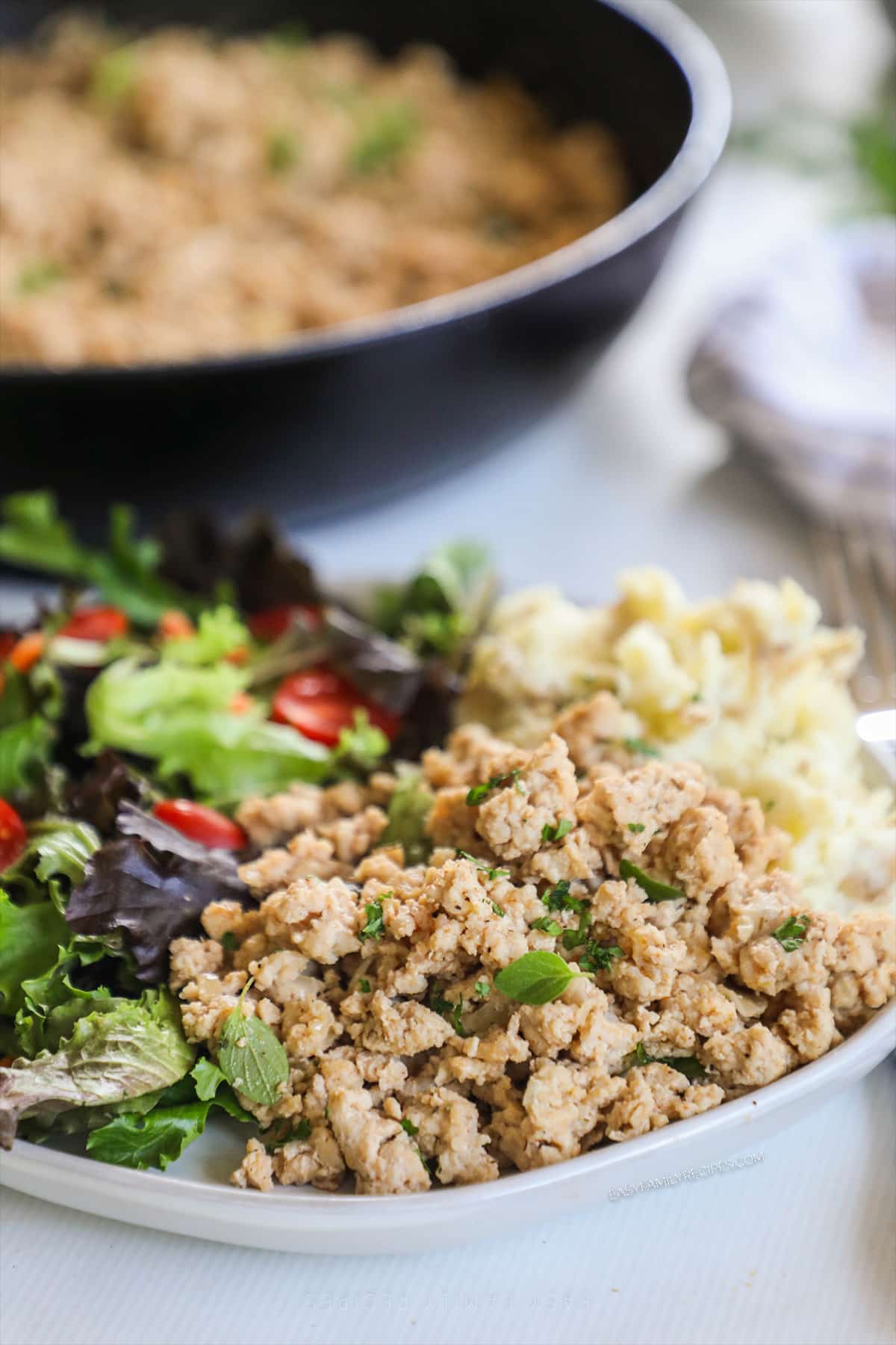 a pile of seasoned ground chicken on a plate with a side salad. 