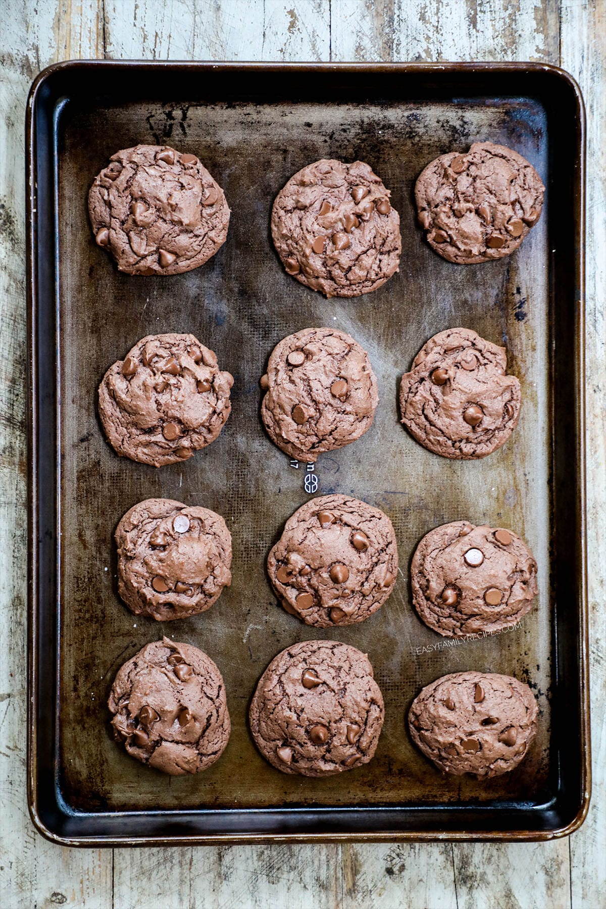 Devil's food cookies on a baking sheet, fresh out of the oven.