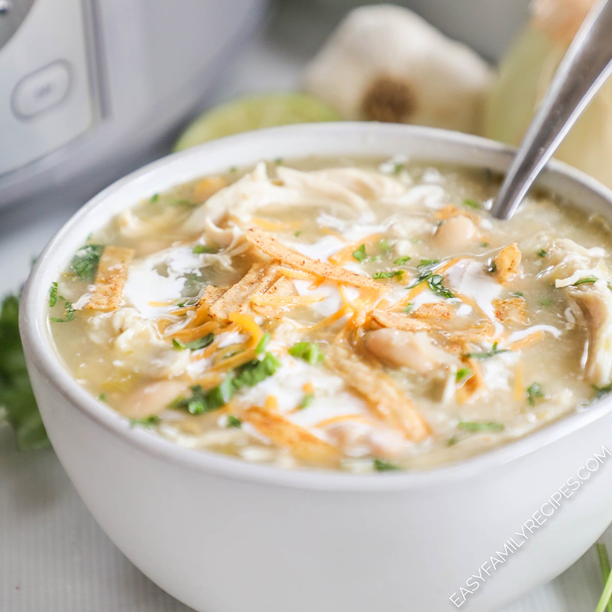 Salsa Verde Chicken Soup