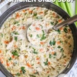 A ladle scoops out a portion of Creamy Lemon Chicken Orzo Soup from a Dutch oven. Veggies are in the background. The text reads, "Creamy Lemon Chicken Orzo Soup."