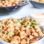 A serving of Hibachi Chicken, vegetables, and rice on a white plate with a silver spoon. The text reads, "Hibachi Chicken."