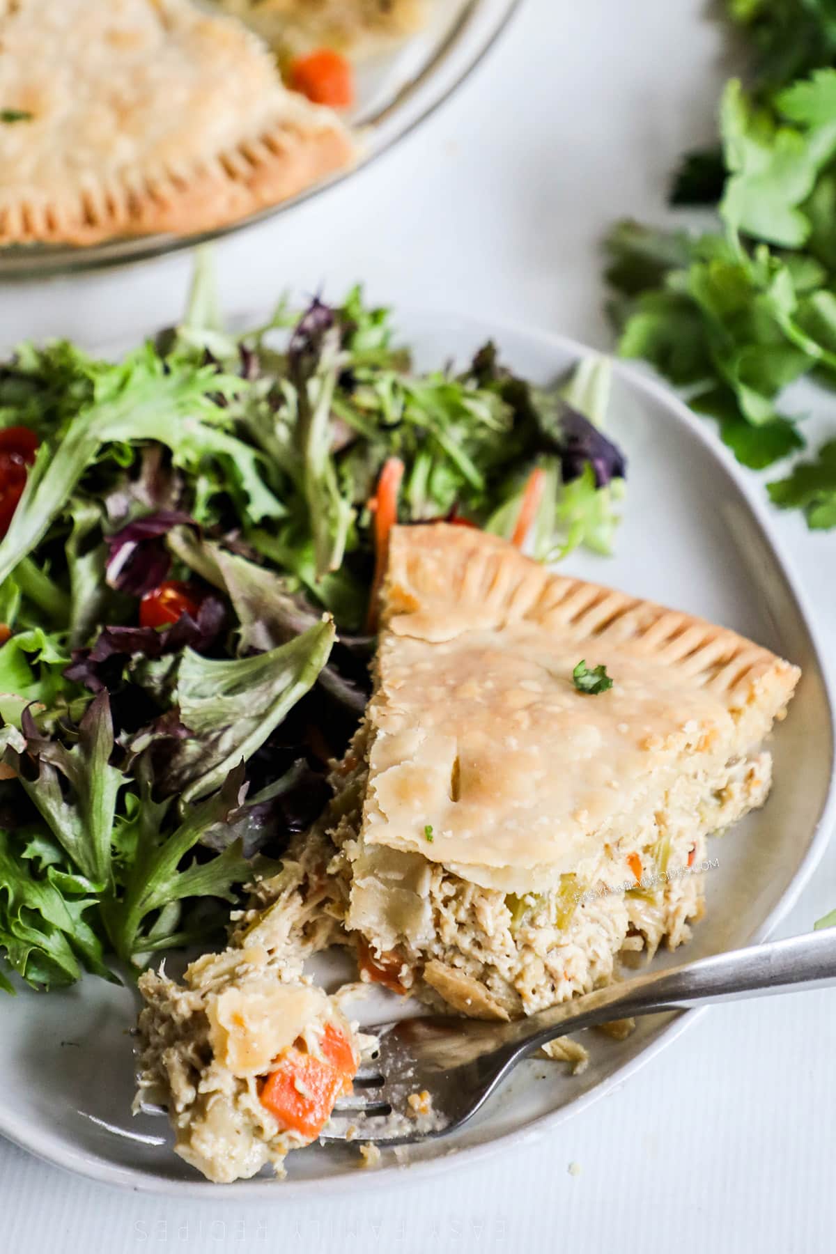 A serving of chicken pot pie with a salad on a white plate with a silver fork.