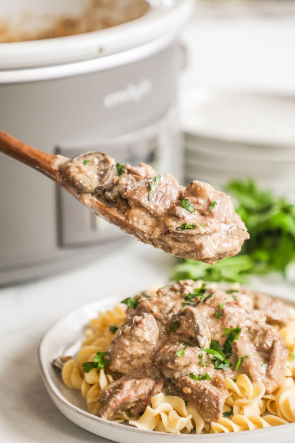 Crockpot Beef Stroganoff · Easy Family Recipes