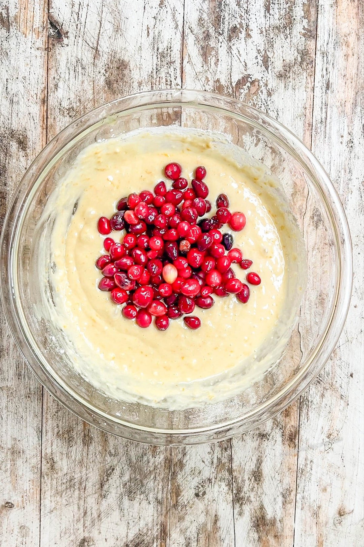 bread batter topped with cranberries in a mixing bowl.