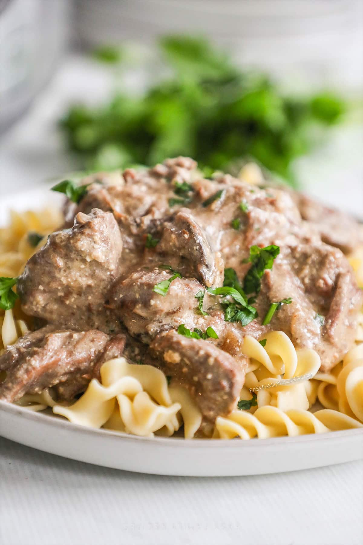 A white plate full of beef stroganoff over pasta with parsley in the background.