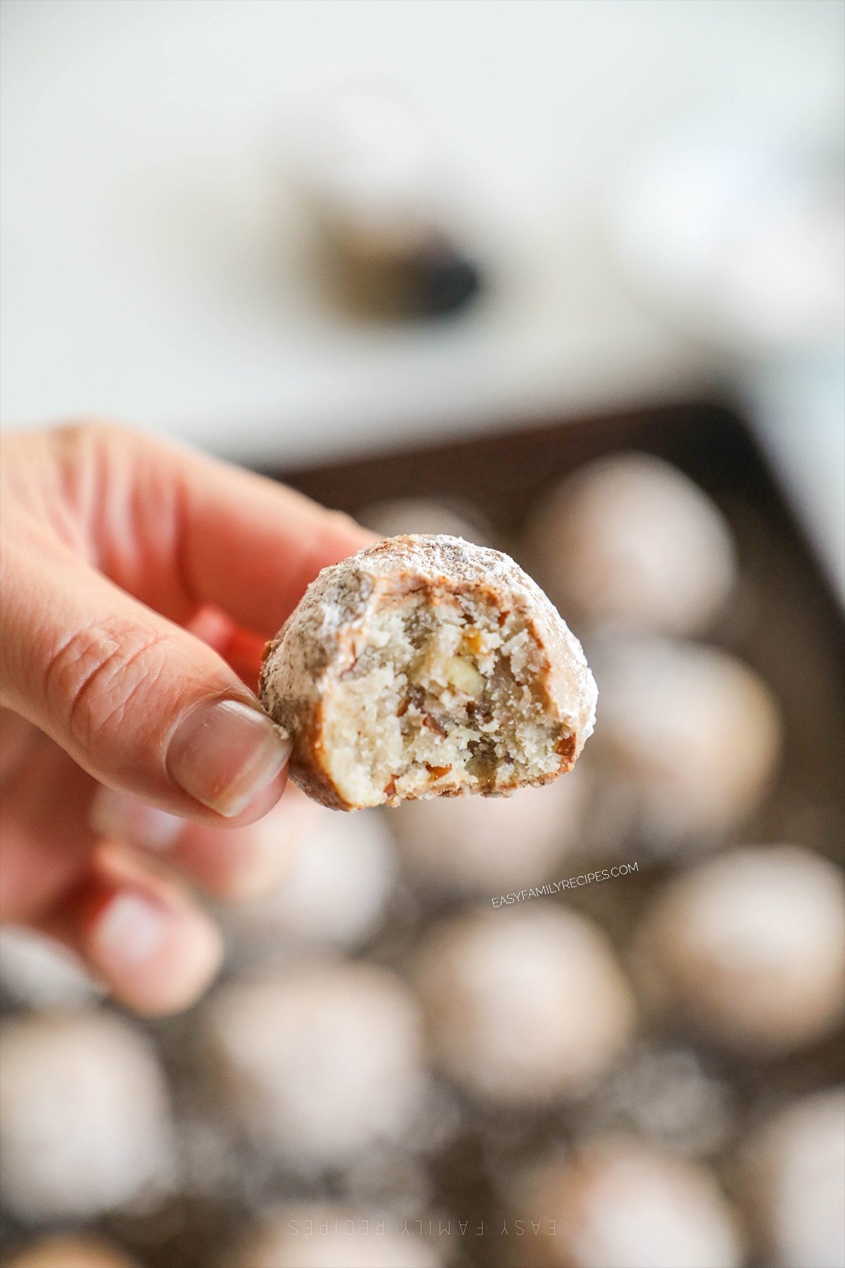 A hand holds a Cinnamon Snowball Cookie with a bite out of it.