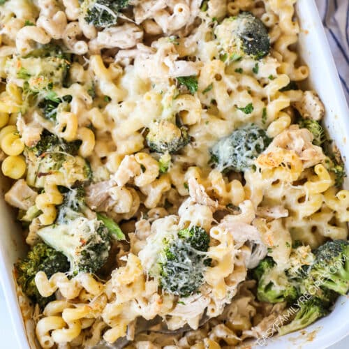 above image of a baking dish filled with finished chicken and broccoli alfredo casserole.