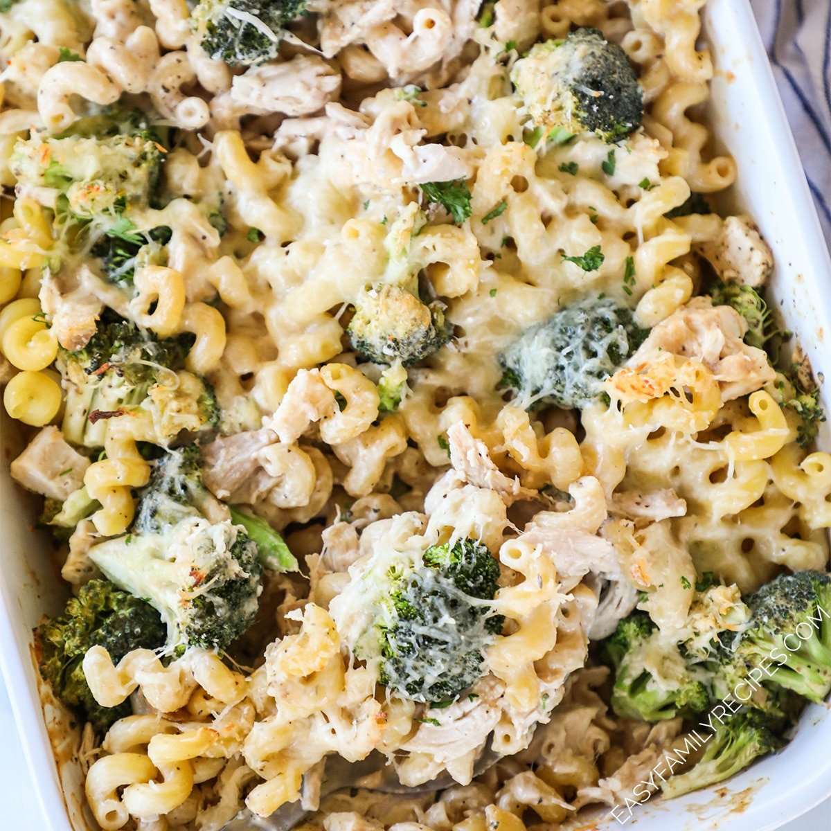 Chicken Broccoli Alfredo Bake