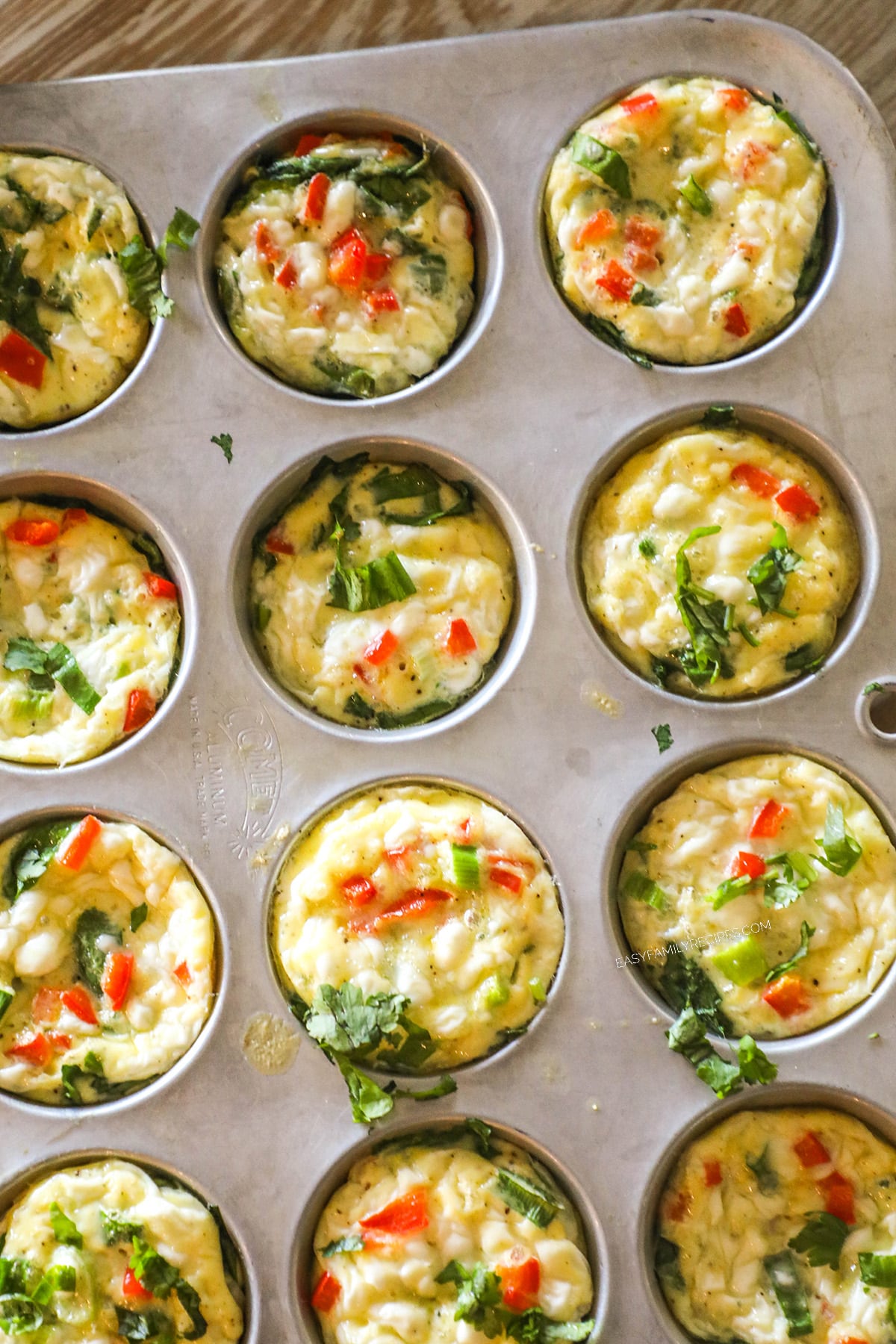 A top view of cottage cheese egg bites in a muffin pan.