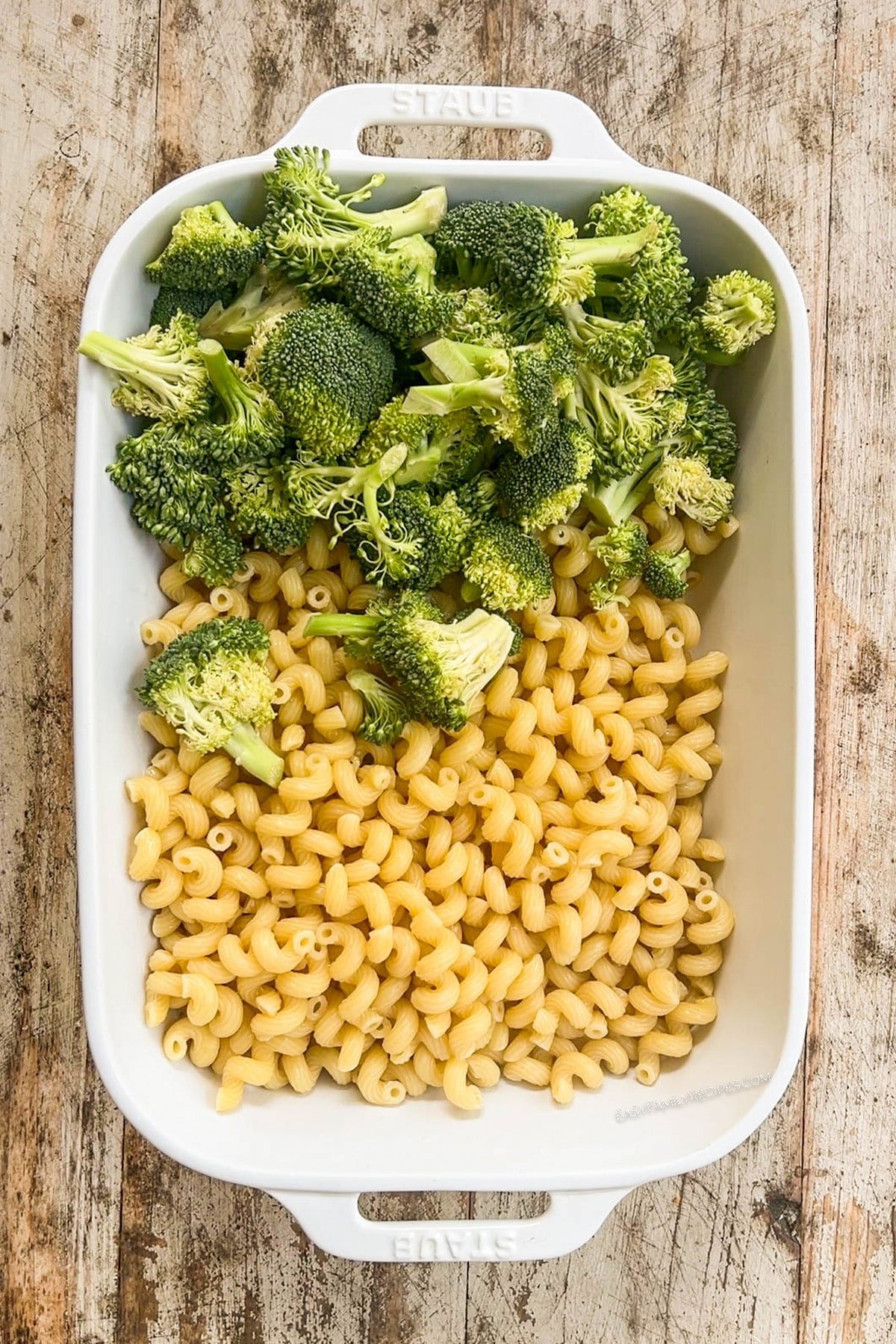 pasta and broccoli in a baking dish.