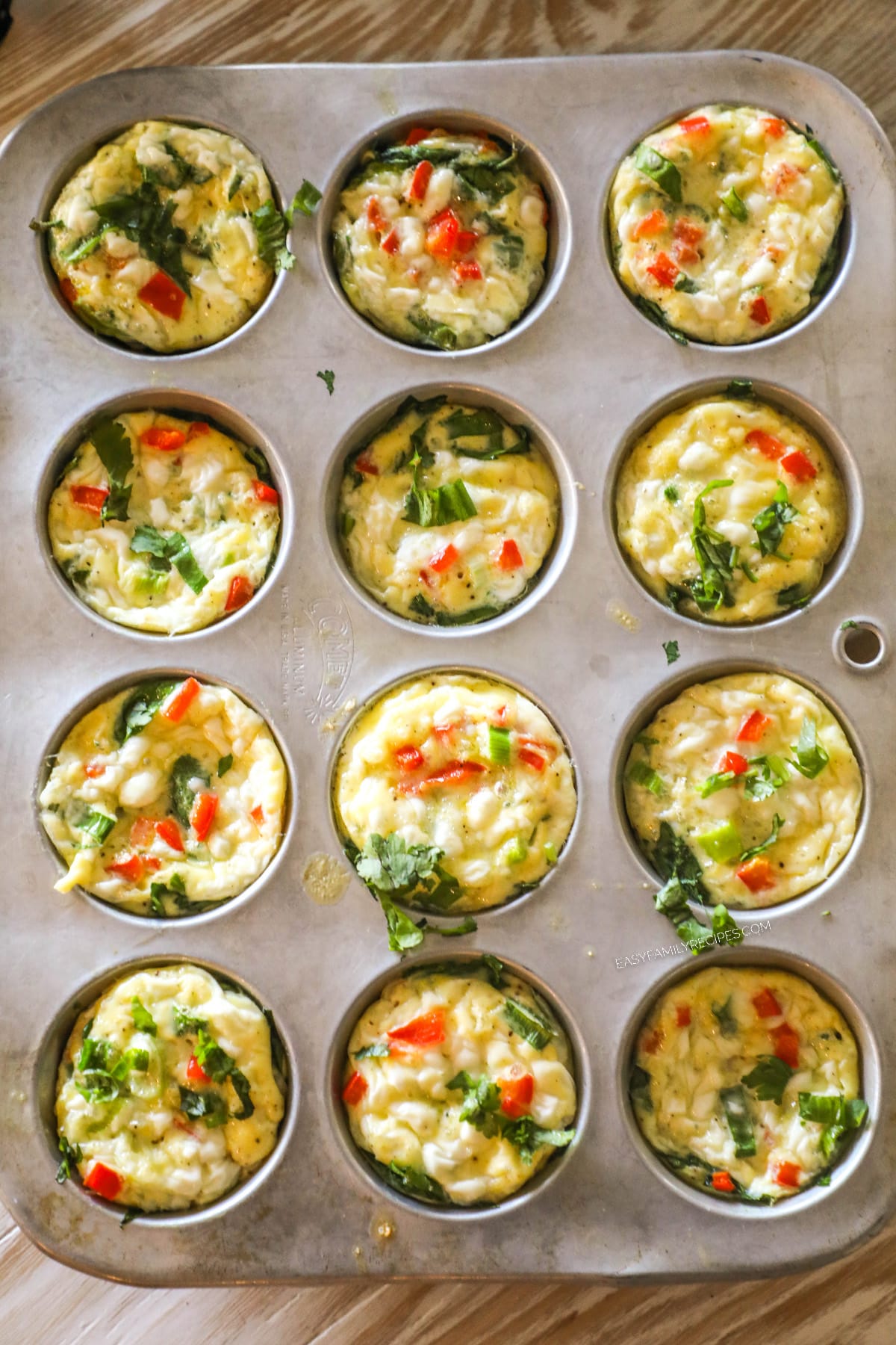 A top view of cottage cheese egg bites in a muffin pan.