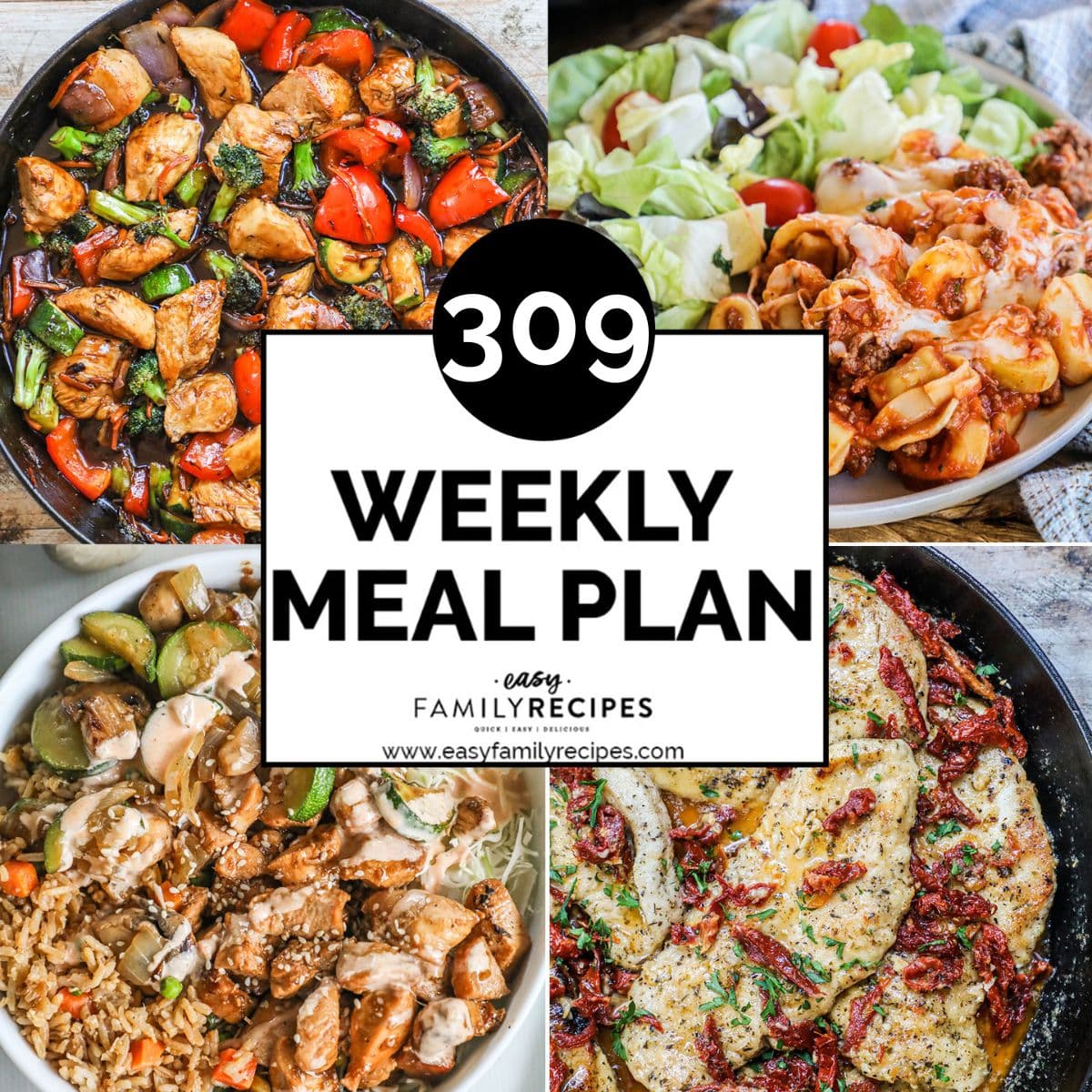 Weekly Meal Plan – 309