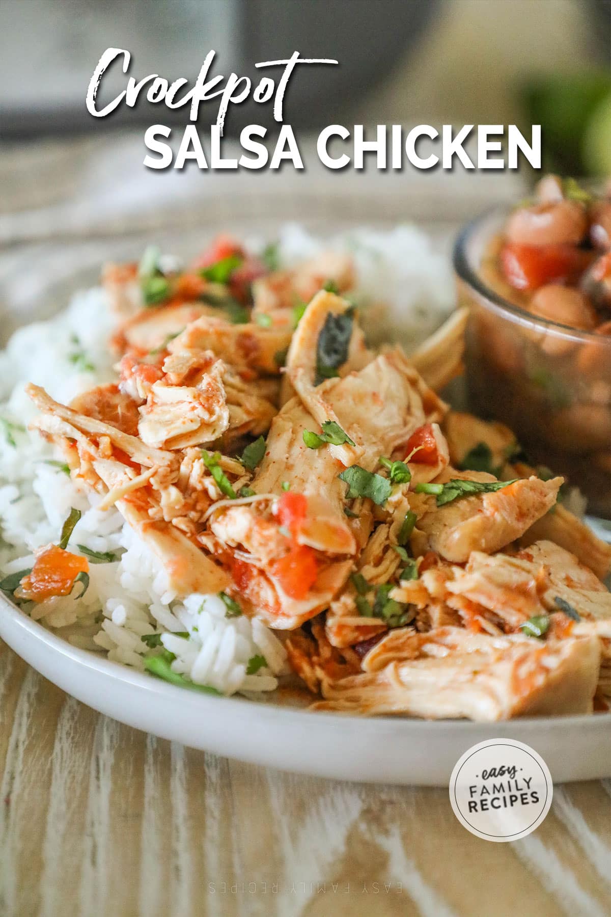 Crockpot Salsa Chicken · Easy Family Recipes